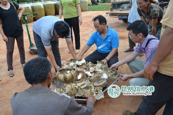 圖片關鍵詞 圖片關鍵詞