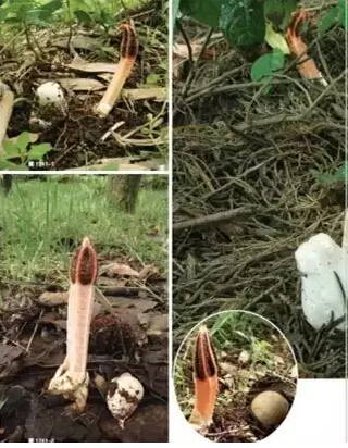 圖片關鍵詞 圖片關鍵詞