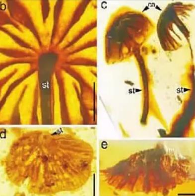 圖片關(guān)鍵詞 圖片關(guān)鍵詞