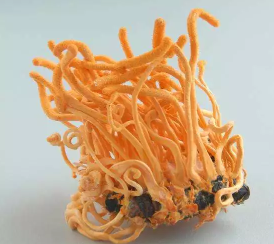 圖片關鍵詞 圖片關鍵詞