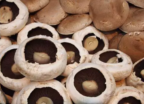 圖片關鍵詞 http://m.kayekong.com/ewebeditor/uploadfile/20170914091257506001.png