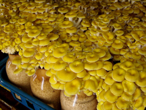 圖片關鍵詞 http://m.kayekong.com/ewebeditor/uploadfile/20171009104138453001.png