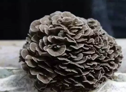 圖片關鍵詞 圖片關鍵詞