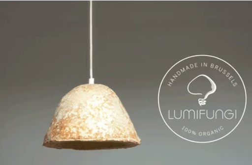 圖片關(guān)鍵詞 http://m.kayekong.com/ewebeditor/uploadfile/20180727085601461001.png