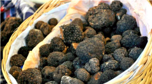 圖片關鍵詞 圖片關鍵詞