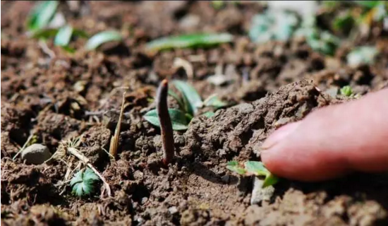 圖片關鍵詞 http://m.kayekong.com/ewebeditor/uploadfile/20180814102741148001.png