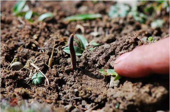 圖片關鍵詞 http://m.kayekong.com/ewebeditor/uploadfile/20180921101313325001.png