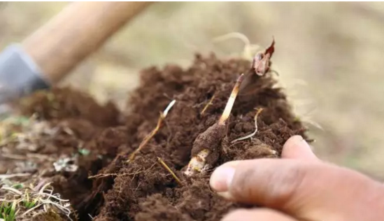 圖片關鍵詞 http://m.kayekong.com/ewebeditor/uploadfile/20180921101228689001.png