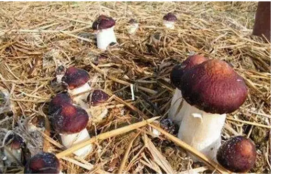 圖片關鍵詞 圖片關鍵詞