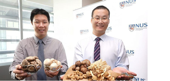 圖片關鍵詞 圖片關鍵詞