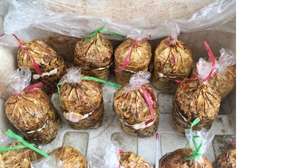 圖片關鍵詞 圖片關鍵詞