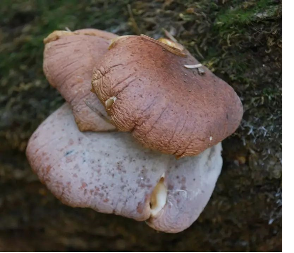 圖片關鍵詞 圖片關鍵詞
