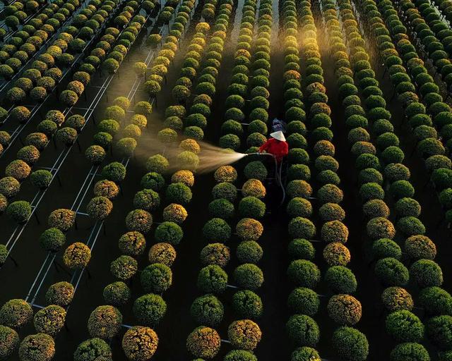 圖片關鍵詞 國家蘑菇地理:中國哪里的蘑菇最好吃?