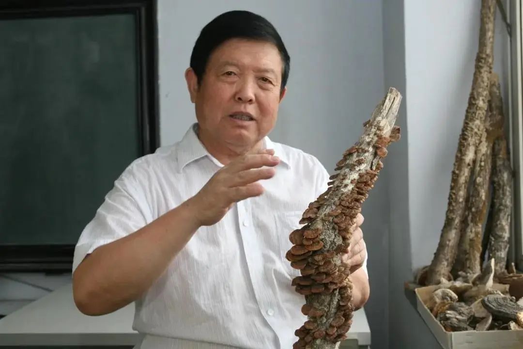 圖片關(guān)鍵詞 https://mmbiz.qpic.cn/mmbiz_jpg/OnRbAd1HL44da8qpWCnn2RmJEB4eNMYmF3R2ia9iayCasRmcic7tiaib7JyhNv3ReLiagVYM5E8J04gdO53Rxl8wcfNQ/640?wx_fmt=jpeg