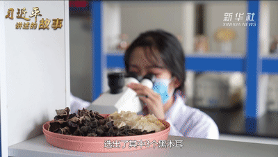 圖片關(guān)鍵詞 https://mmbiz.qpic.cn/mmbiz_gif/SxfSv2XOxf7F6h9Fnpicibhibo2FtzRrSNm7Okn9PZh7tRCpG6qak2K0ntb5j7sWl0Dyw9tatptFgATu7LV1BBiakw/640?wx_fmt=gif&tp=webp&wxfrom=5&wx_lazy=1