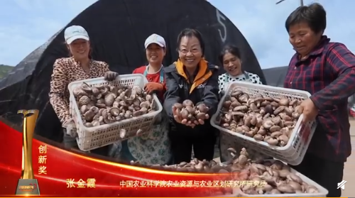 圖片關鍵詞 https://mmbiz.qpic.cn/mmbiz_png/EzTg6Bqtpm3iblCYHwA5wiacjsibsQCgmowzia7mqtY5b4k501SJHG2Svqv9lC1XhUynWmcyA0J6wgIQ7y4V6yKEmQ/640?wx_fmt=png