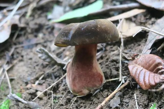 圖片關鍵詞 圖片