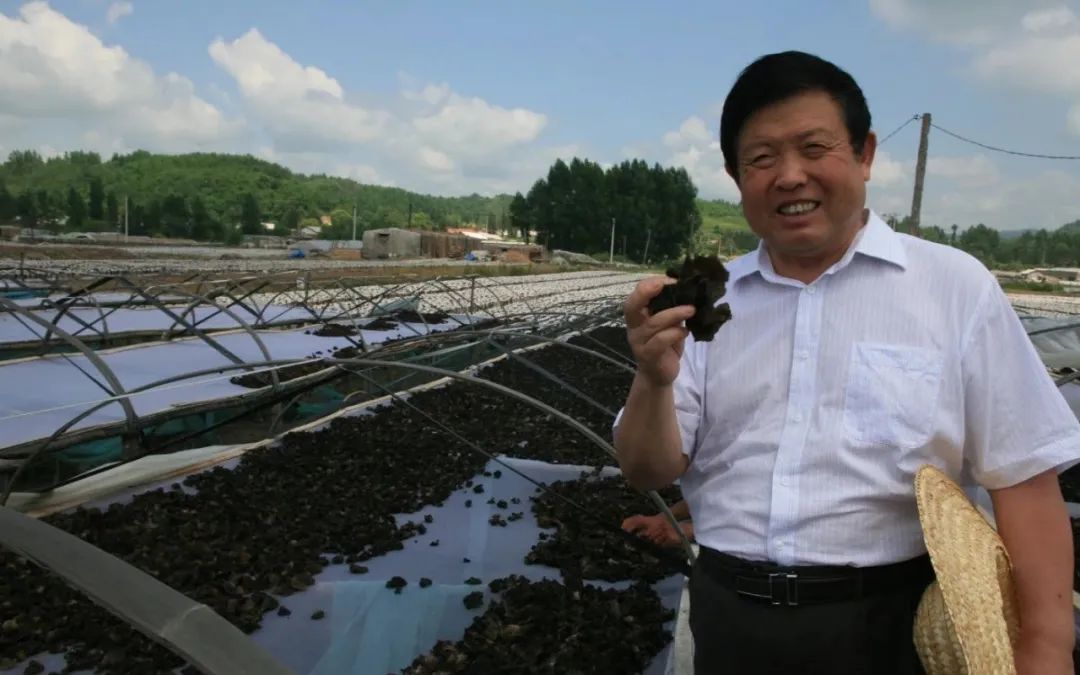 圖片關鍵詞 圖片