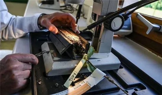 圖片關(guān)鍵詞 圖片