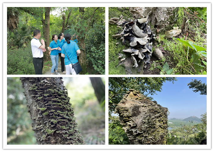 圖片關鍵詞 圖片關鍵詞