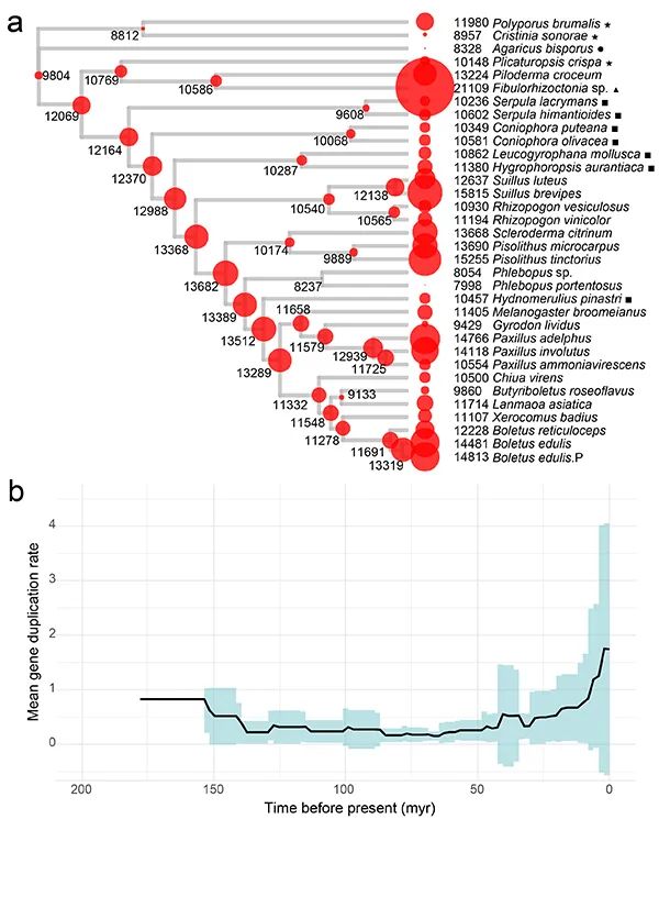 圖片關鍵詞 圖片