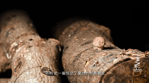 圖片關鍵詞 圖片
