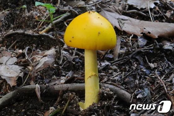 圖片關鍵詞 圖片