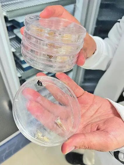 圖片關(guān)鍵詞 圖片