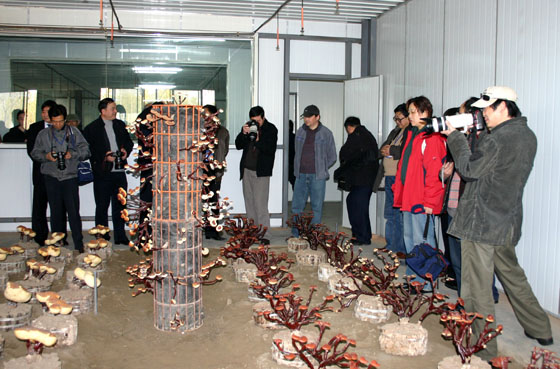 圖片關鍵詞 圖片關鍵詞