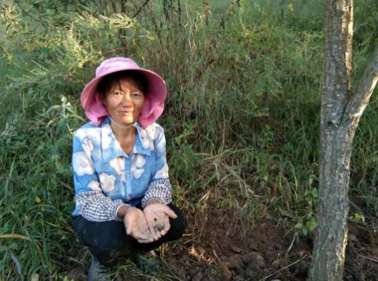 圖片關(guān)鍵詞 圖片關(guān)鍵詞