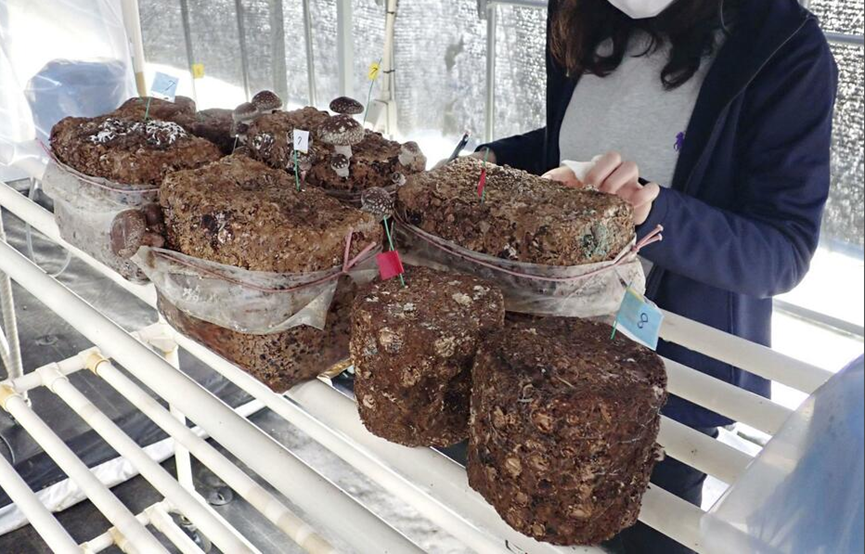 圖片關鍵詞 圖片關鍵詞