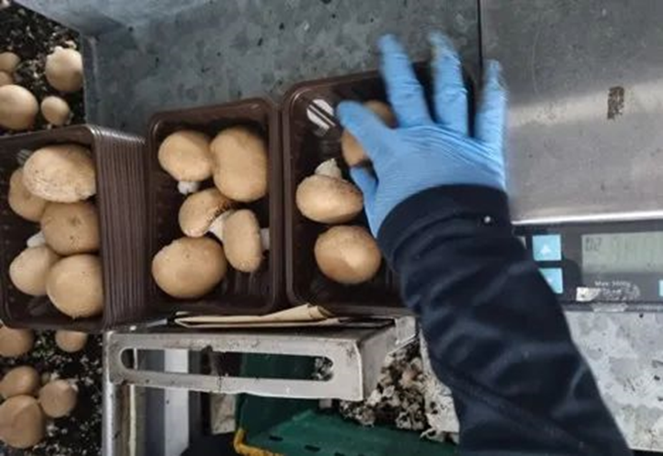 圖片關鍵詞 圖片關鍵詞