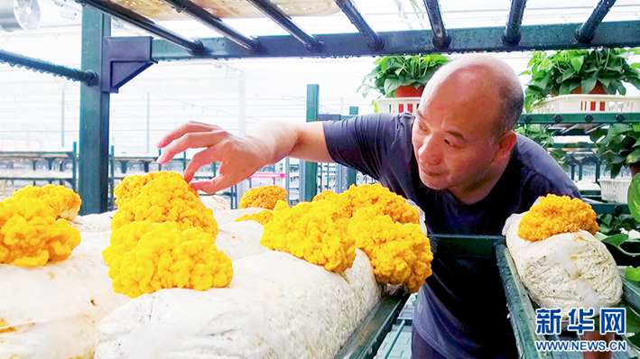 圖片關鍵詞 圖片關鍵詞