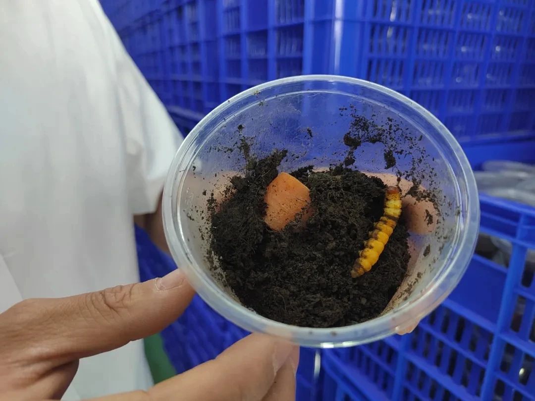 圖片關(guān)鍵詞 圖片關(guān)鍵詞