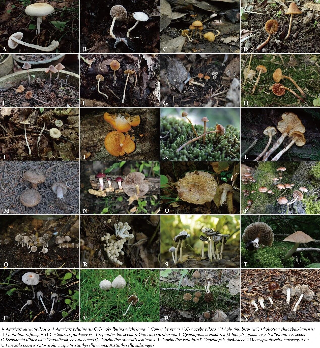 圖片關鍵詞 圖片關鍵詞