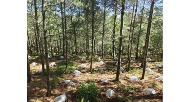 行業(yè)動態(tài)